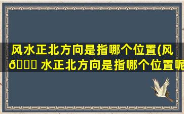 风水正北方向是指哪个位置(风 🐟 水正北方向是指哪个位置呢)